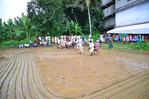 29312 koithulsavam1.jpeg