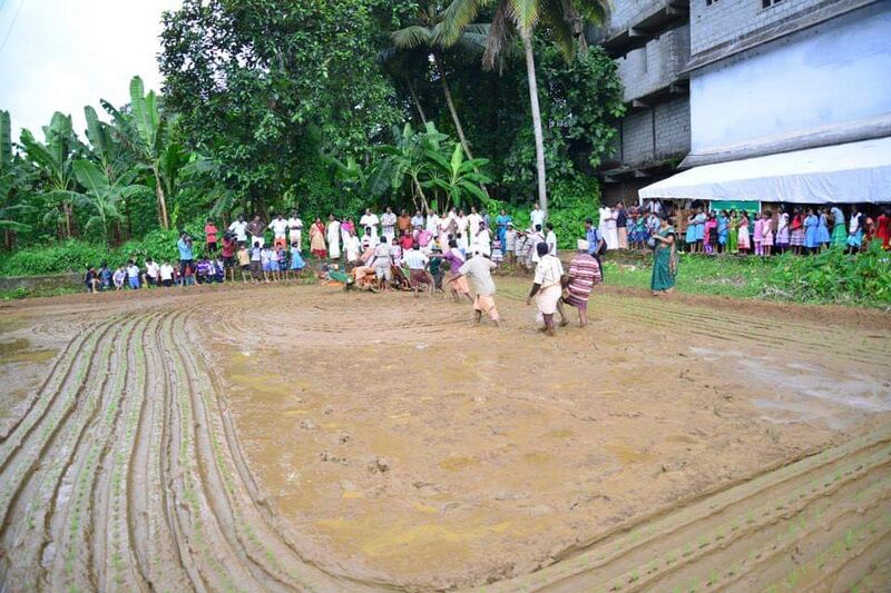 പ്രമാണം:29312 koithulsavam1.jpeg