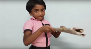 29411 IndependenceDay5.png