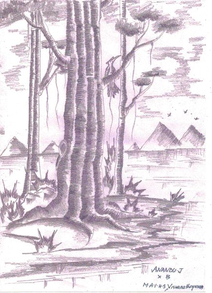 പ്രമാണം:30065 116 anandu.jpg