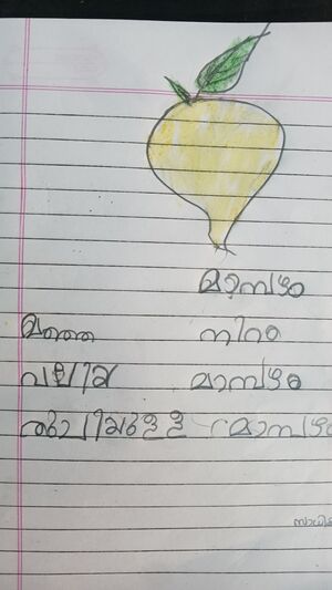 34331-ALP-KUNJ-SADHIKA SURESH 1B.jpg