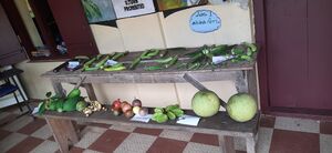 41521 agricultureFest.jpg