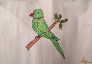 42241-TVM-KUNJ-AMEER ALI.jpg