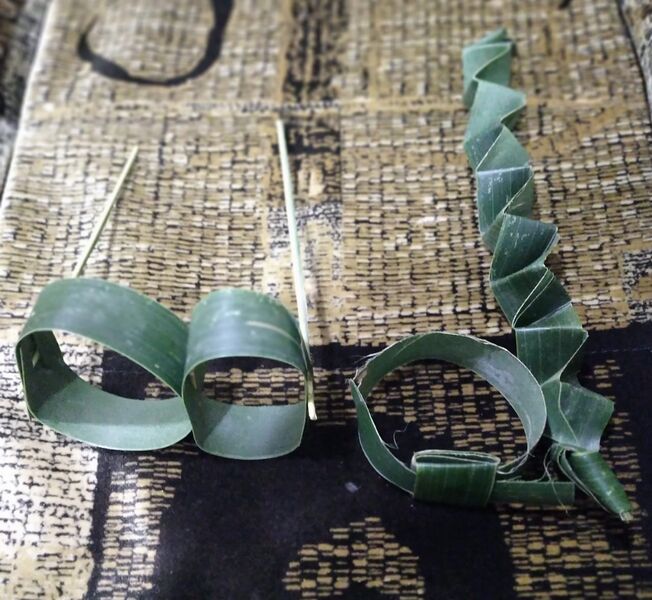 പ്രമാണം:44018 e4.jpg