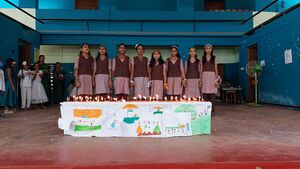 44055 vidyaindependence6.jpeg