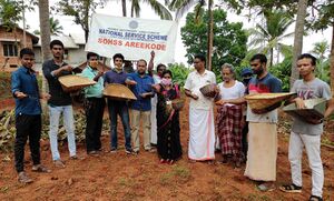 48002-kara nellgg.jpg