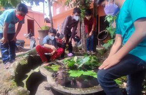 BS21 TVM 42048 2.jpg