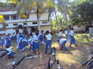 Cleaning12 35052 (1).jpg