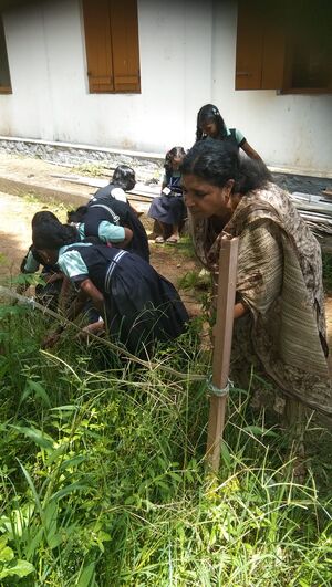 WhatsApp Image 2026-03-16 at 2.16.17 PM.jpeg