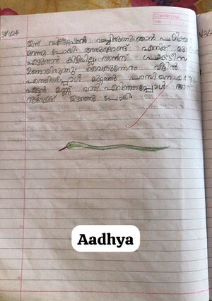 13632-KNR-KUNJ-AADHYA1.jpeg