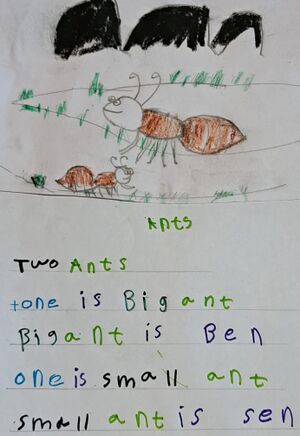 15316-WYD-KUNJ-IMA K B.jpg