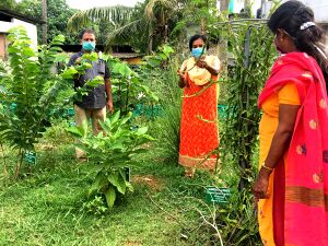 28012 SP 1920 275.jpeg