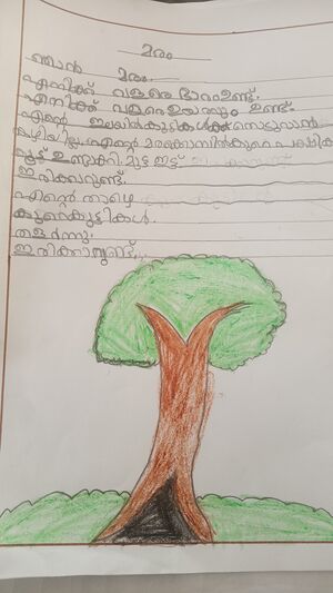 34331-ALP-KUNJ-MARVA FATHIMA 1 A.jpg