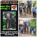 16:51, 22 ഫെബ്രുവരി 2025-ലെ പതിപ്പിന്റെ ലഘുചിത്രം