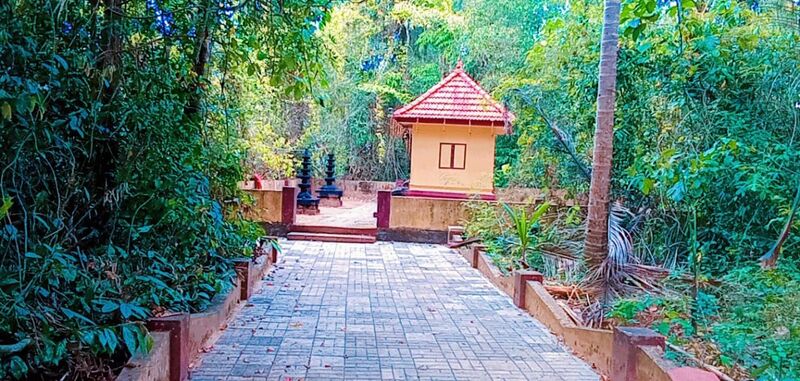 പ്രമാണം:37001 KAVU.jpeg