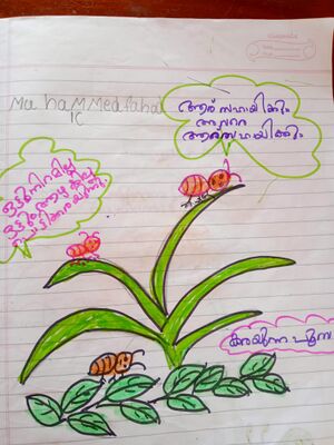 44544-tvm-kunj-Muhammad Fahad.jpg.jpeg