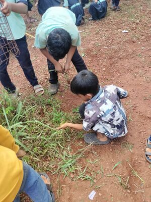 BS21 MLP 19318 10.jpg.jpeg