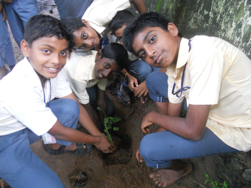 പ്രമാണം:ENVIRONMENT DAY JUNE 5.JPG