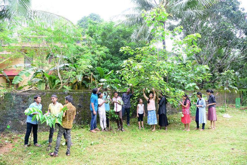 പ്രമാണം:Homio 1.jpg