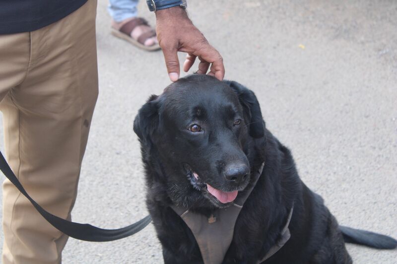 പ്രമാണം:KSK2026-22050-21-22-23-24-OFFSTAGE14-ADWAITH T.jpg