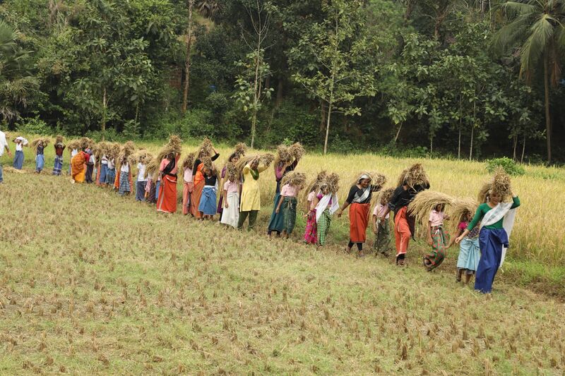 പ്രമാണം:11406-koythulsavam 3.jpg