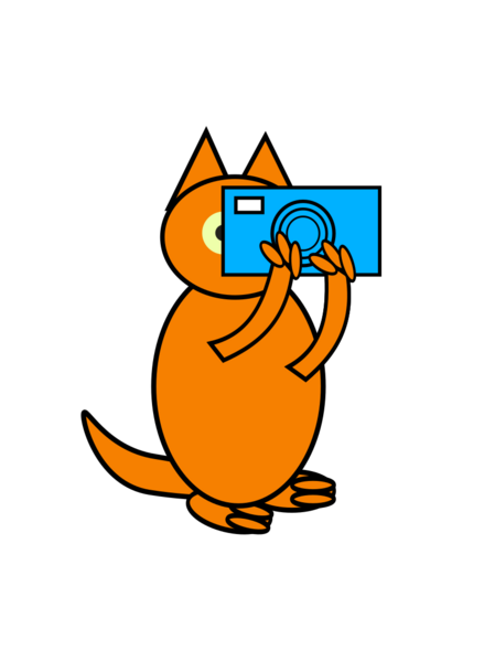 പ്രമാണം:13055 cam.png