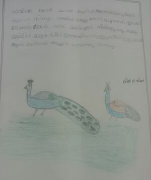 13917-KNR-KUNJ-DIYA-1 E.jpg