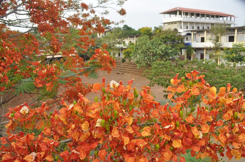 പ്രമാണം:14028 g 17.jpg