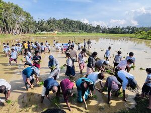 15084 kambalanatty.JPG