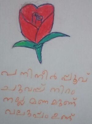 15316-WYD-KUNJ-ARCHITH MANOJKUMAR.jpg