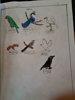 18230-MLP-KUNJA-AYRA MANSOOR.jpg