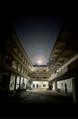 19054 night vibe.jpeg