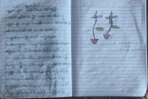 21302-PKD-KUNJ-NIVEDHYA P 13.jpg