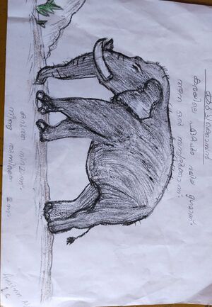 22627-TSR-KUNJ-AUSRIN ALJO.jpeg