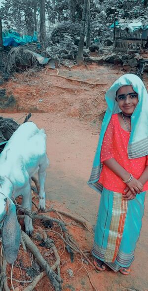 29312 vidyarangam26.jpg