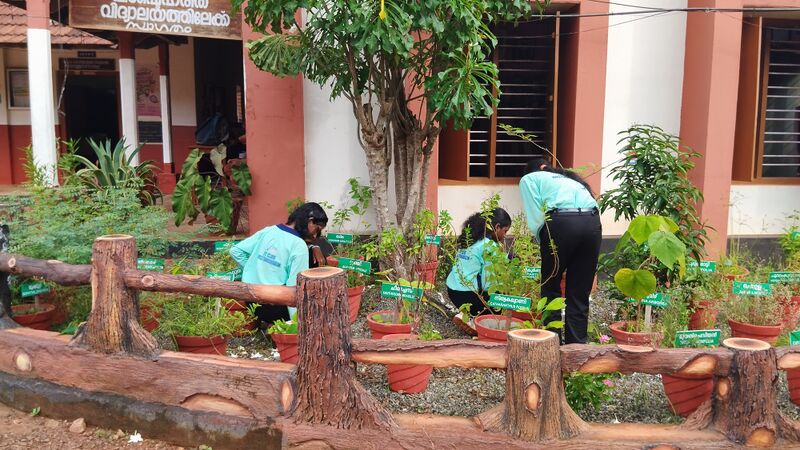 പ്രമാണം:36035 ENV1.jpg