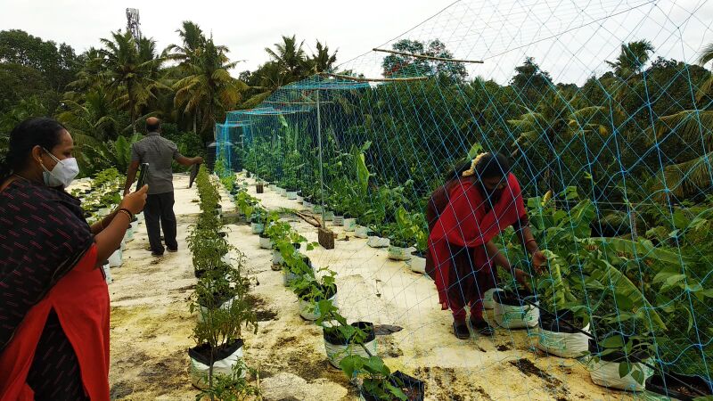 പ്രമാണം:43078-eco 1.jpg