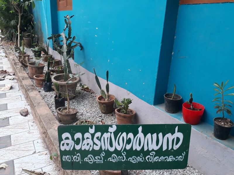 പ്രമാണം:44055 cactiurr.jpeg