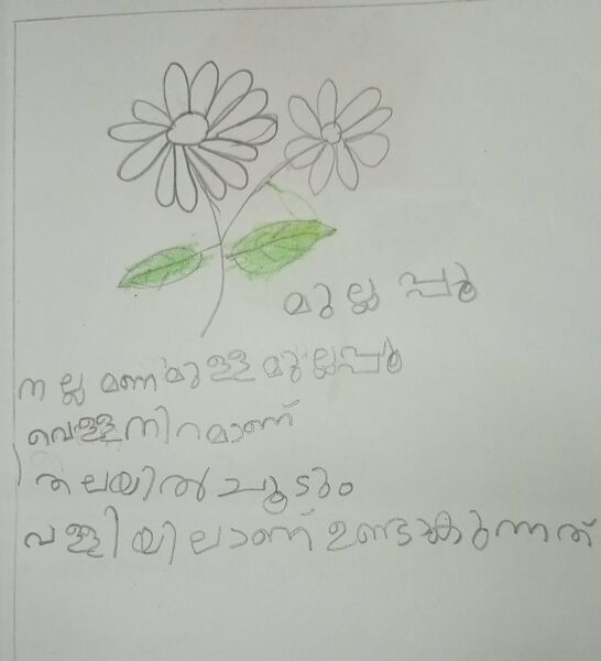 പ്രമാണം:AYANA T P 1 B.jpg