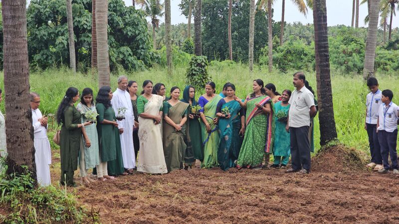 പ്രമാണം:Al15 tsr 22031.jpg