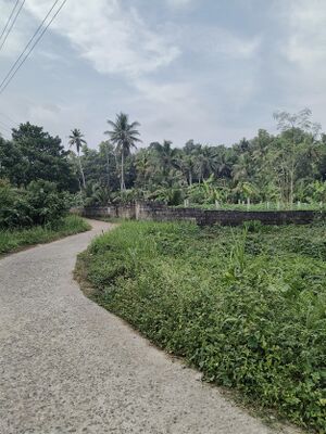 Mklkl 42512 Entegramam 1.jpg