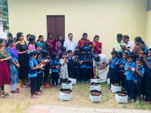 News Report 1 35332.jpg