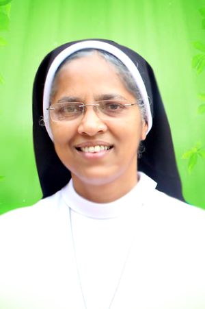 Principal 27029y.jpg