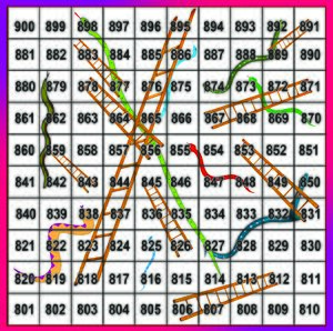 Snake 801 to900 copy.jpg