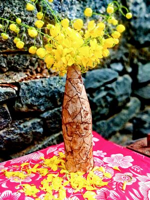 Work of Anusree(4).jpg