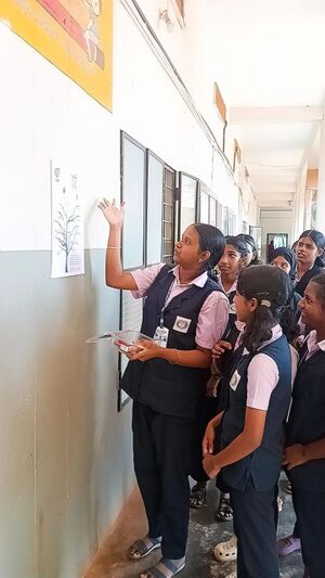 12045 KGD SEED3.jpeg