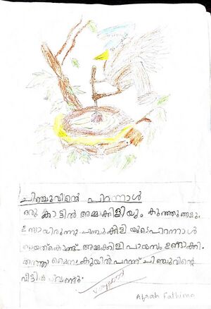 13638-KNR-KUNJ-AFRA FATHIMA.jpg