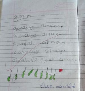 19735-MLP-KUNJ-MINSHA MEHRIN2.jpg