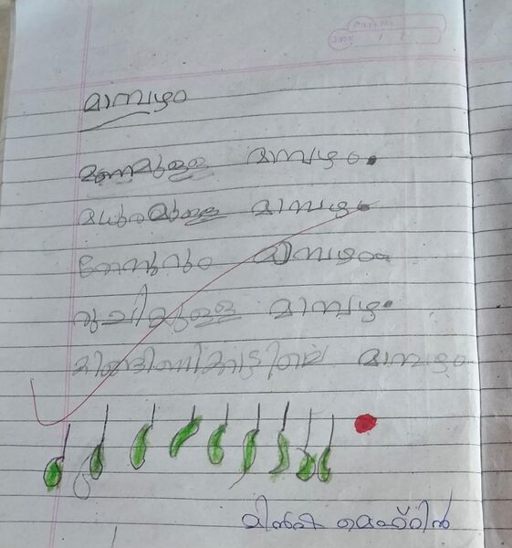 പ്രമാണം:19735-MLP-KUNJ-MINSHA MEHRIN2.jpg