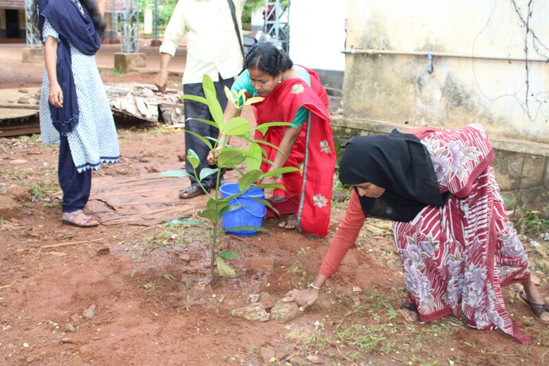 പ്രമാണം:20001 528.jpg